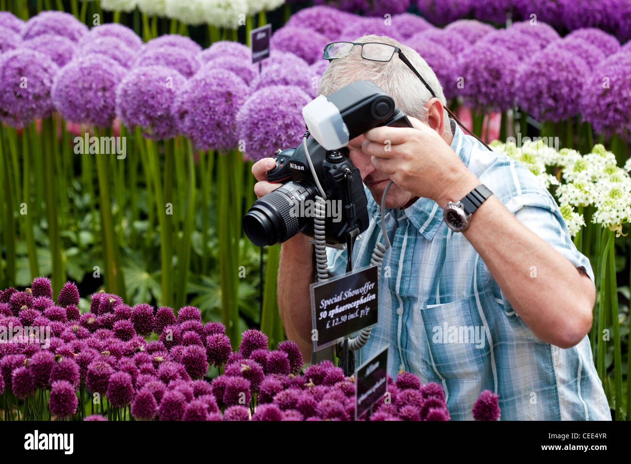 Un fotografo di scattare una foto di api su fiori di aglio a Hampton Court Flower Show Foto Stock