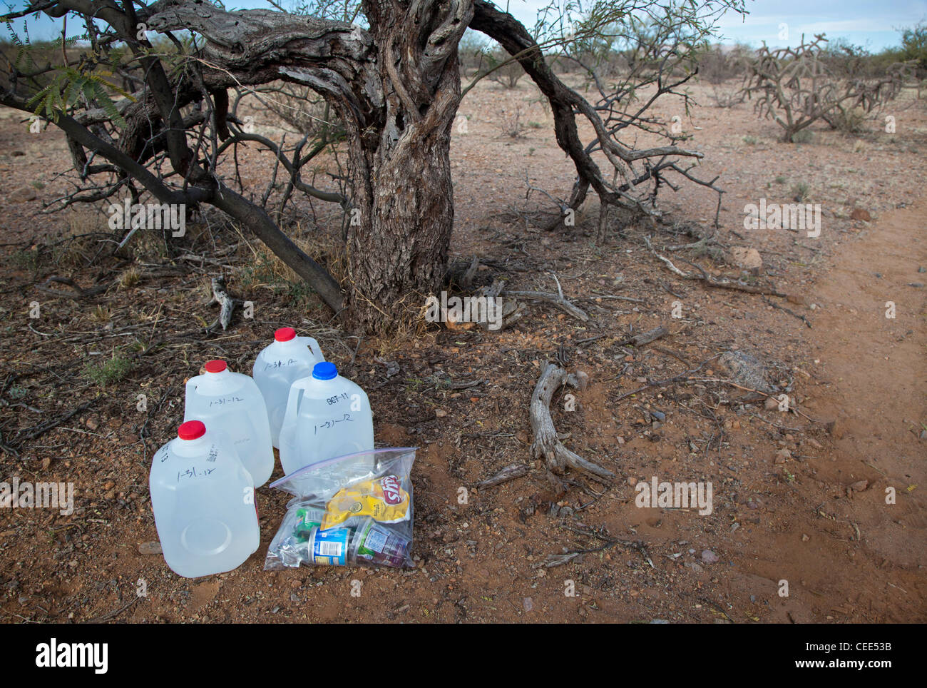 Cibo e Acqua a sinistra nel deserto dell'Arizona per evitare la morte di migranti che attraversa la frontiera Foto Stock