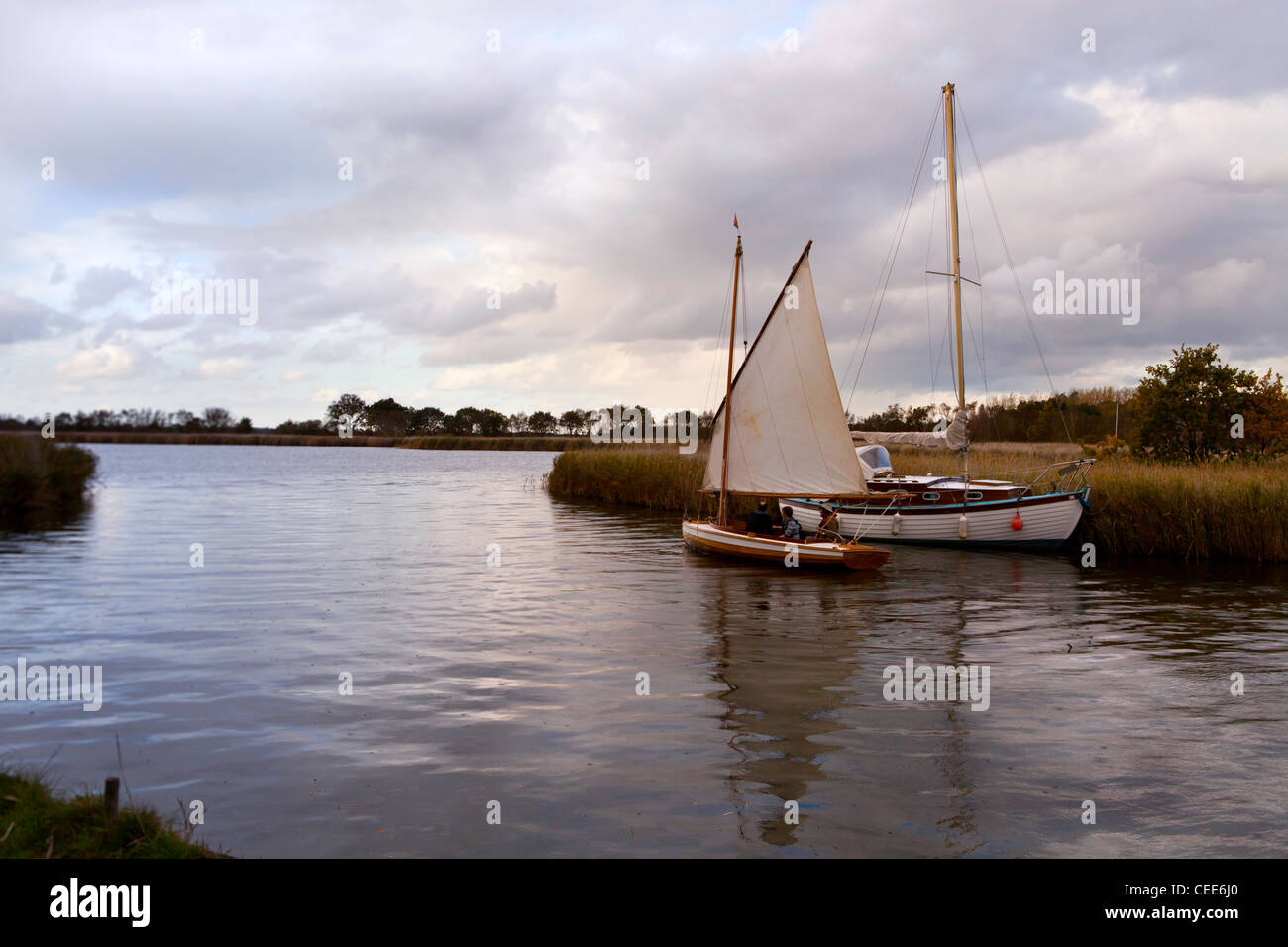 'Sbauges & Amazzoni' Foto Stock