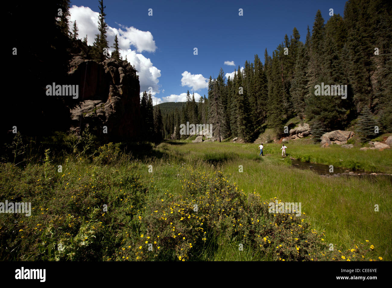 Il fiume di Jemez zona fuori la Hwy 4 nelle montagne di Jemez Foto Stock