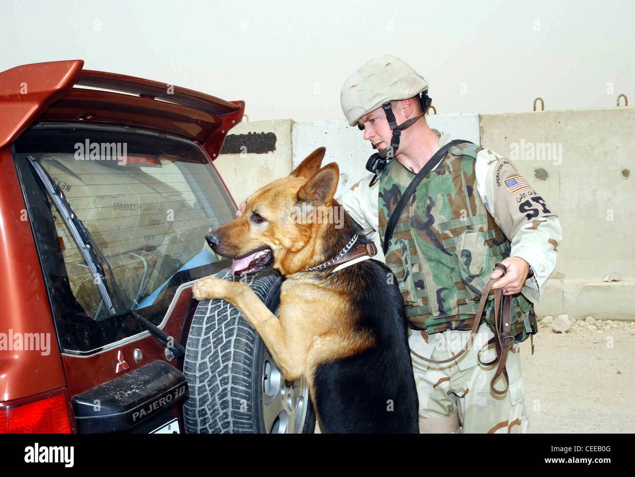 Doran, un cane da pattuglia esplosivo di 4 anni, cerca la parte posteriore di un veicolo civile in una posizione remota come suo gestore, il personale Sgt. Gregory Long, lo dirige verso potenziali nascondigli. Sono assegnati al 407esimo Squadrone delle forze di sicurezza dell'espedientazione presso Ali base. Foto Stock