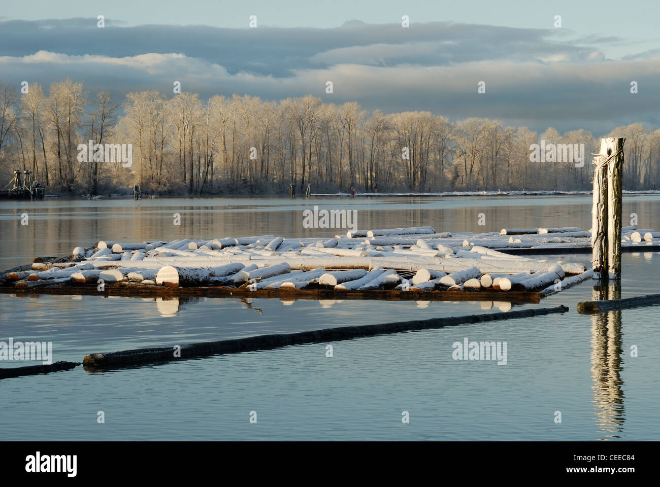 Registro smerigliato boom è inattiva sul fiume Fraser. Foto Stock