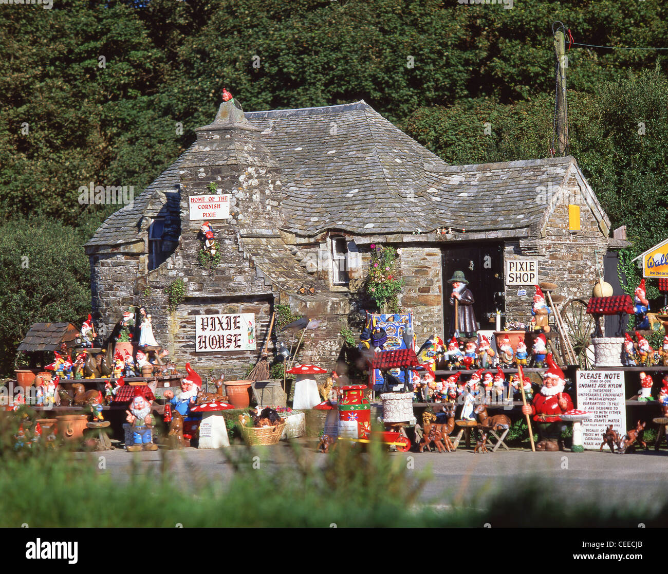 Il negozio di Pixie, Boscastle, Cornwall, England, Regno Unito Foto Stock