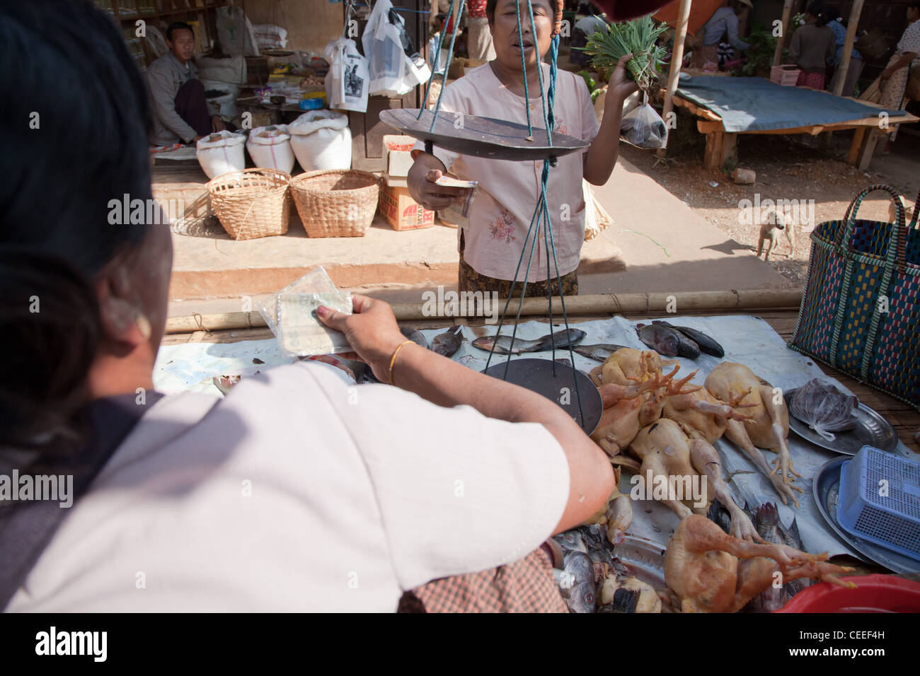 La Birmania, PINDAYA - 23 febbraio 2011: gli agricoltori vendono sono fatti in casa a base di prodotti alimentari sul mercato di strada. Pindaya, Birmania. Foto Stock