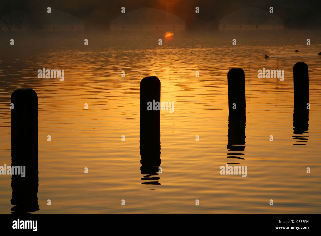 Misty sunsrise sul lungo l'acqua dal ponte a serpentina, i giardini di Kensington, London, Regno Unito Foto Stock