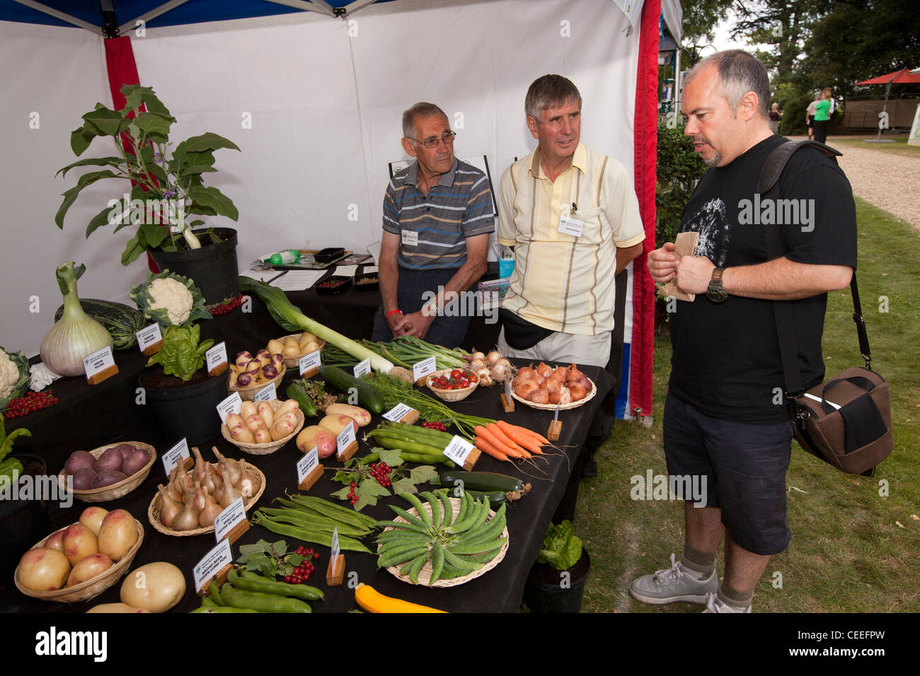 Regno Unito, Inghilterra, Bedfordshire, Woburn Abbey Garden Show, visitatore alla ricerca a livello nazionale Vegetali di stallo della società Foto Stock