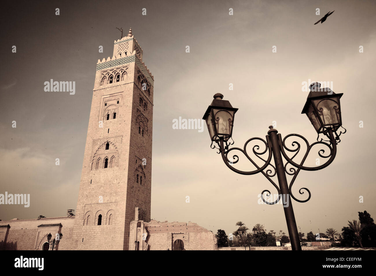 Il Marocco Marrakech, Moschea Kotoubia Foto Stock