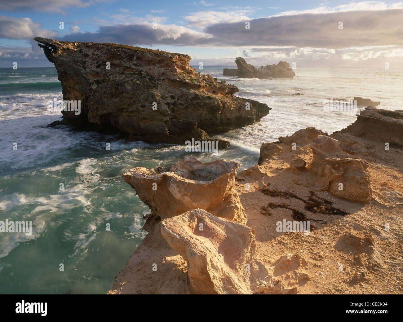 Coste rocciose a Canunda National Park South Australia Australia Foto Stock