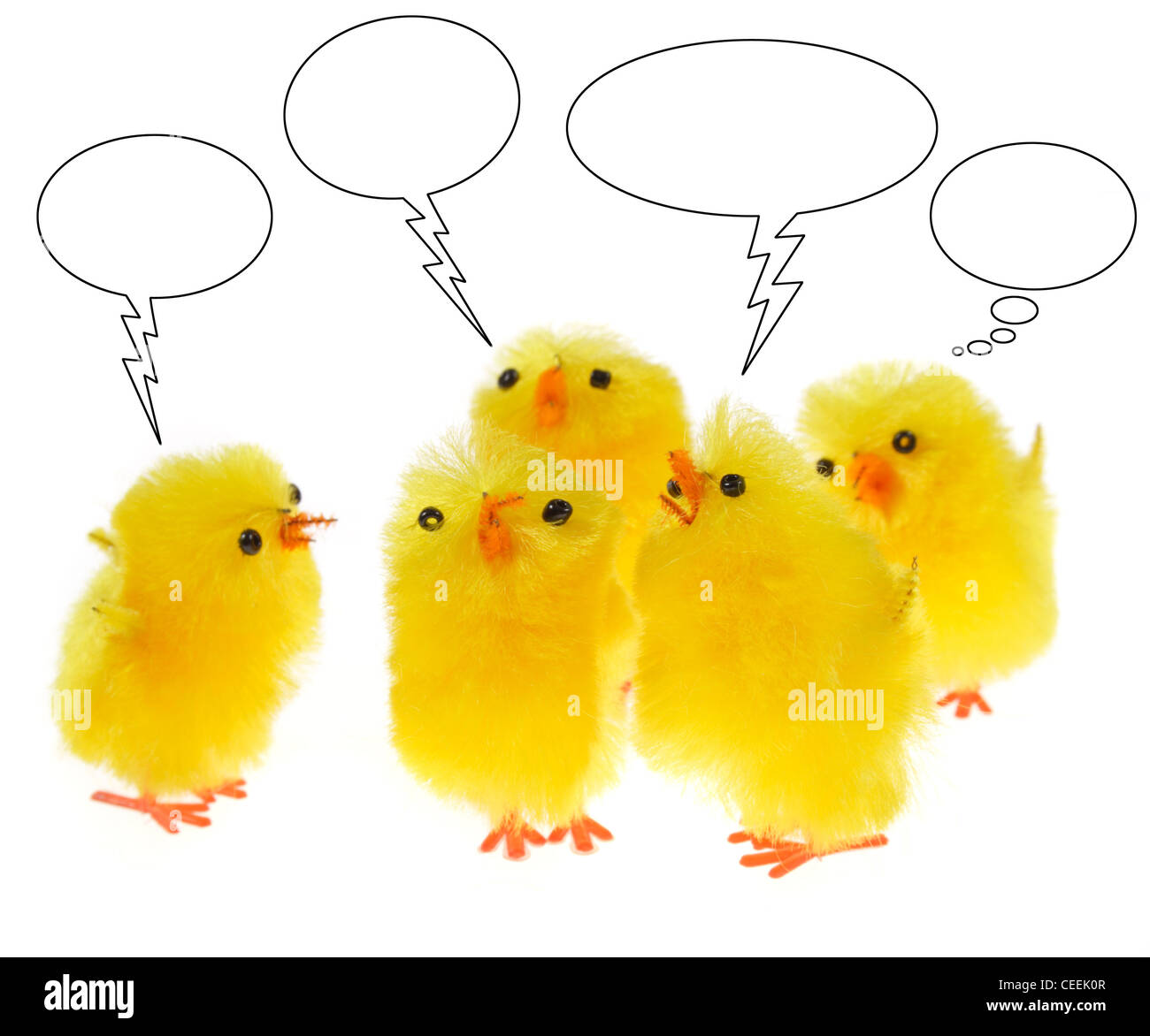 Giallo nidiacei, conversazione cinque piccoli polli Foto Stock