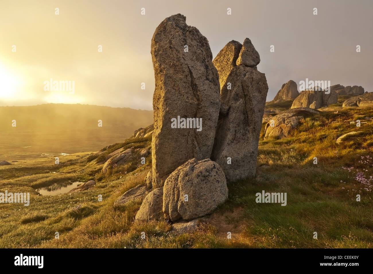 Tor di granito a sunrise Kosciuszko Parco Nazionale del Nuovo Galles del Sud Australia Foto Stock