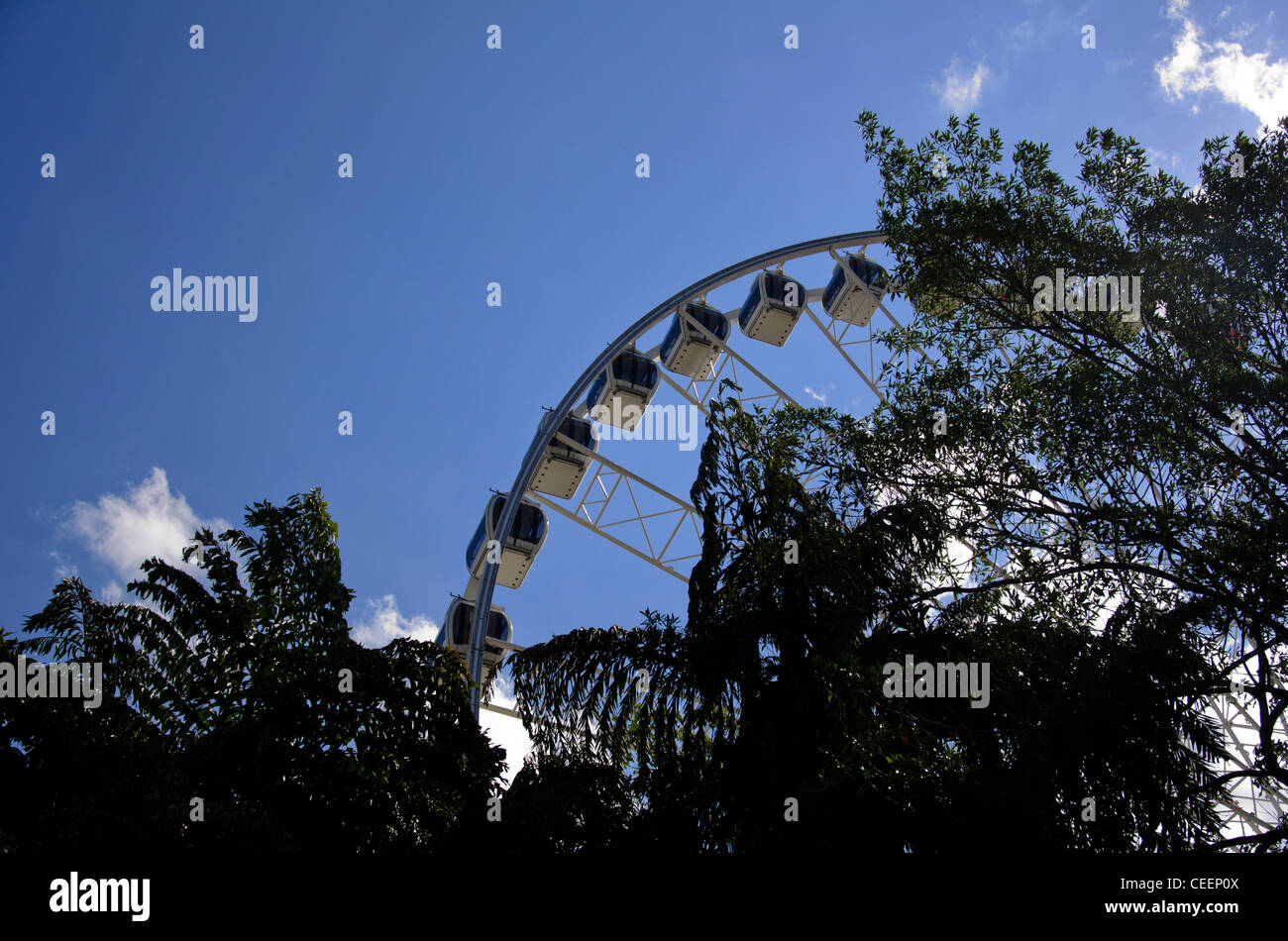 La Ruota Panoramica di Brisbane, Australia Foto Stock