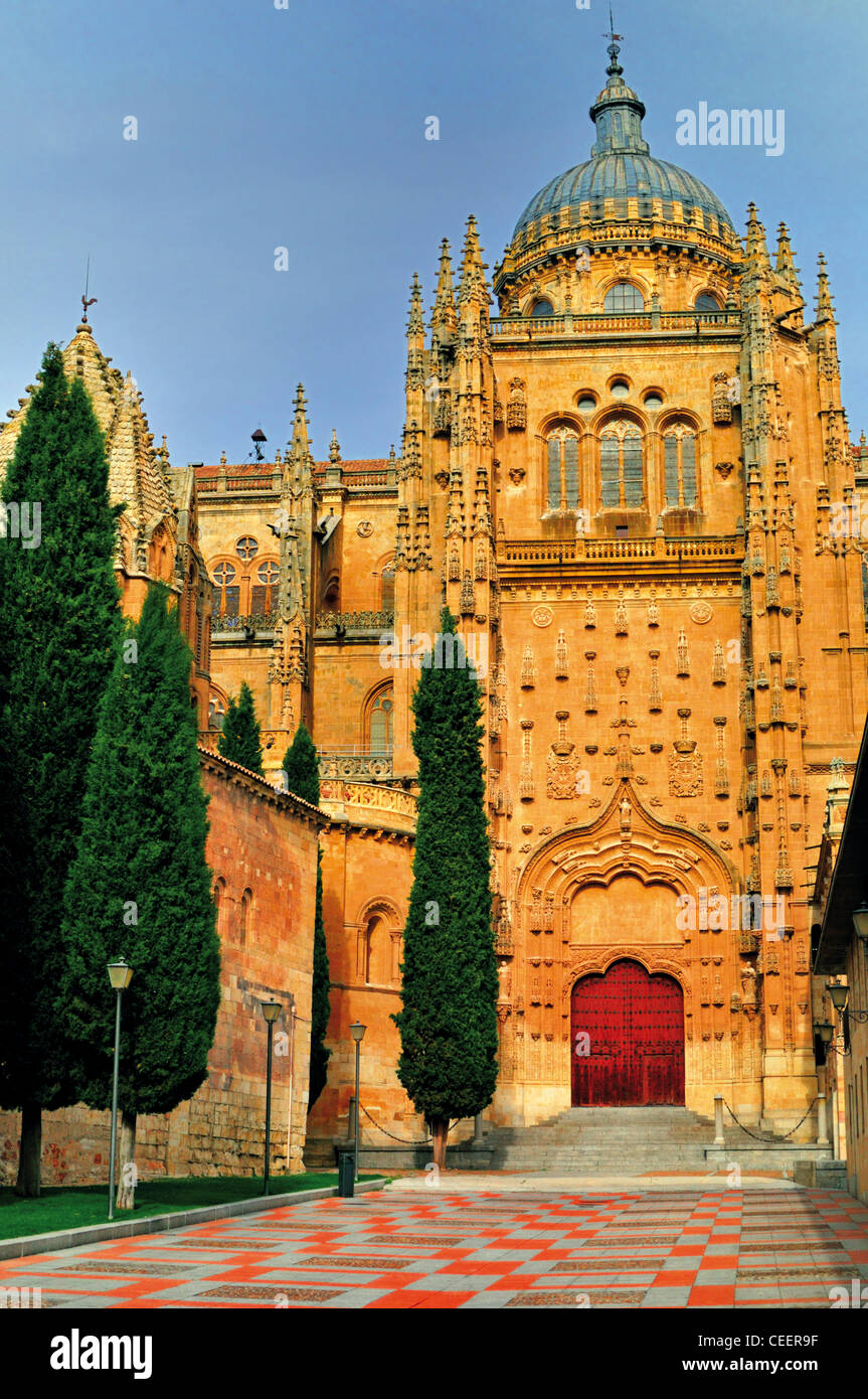 Spagna Salamanca: Vista del portale laterale della nuova Cattedrale Foto Stock