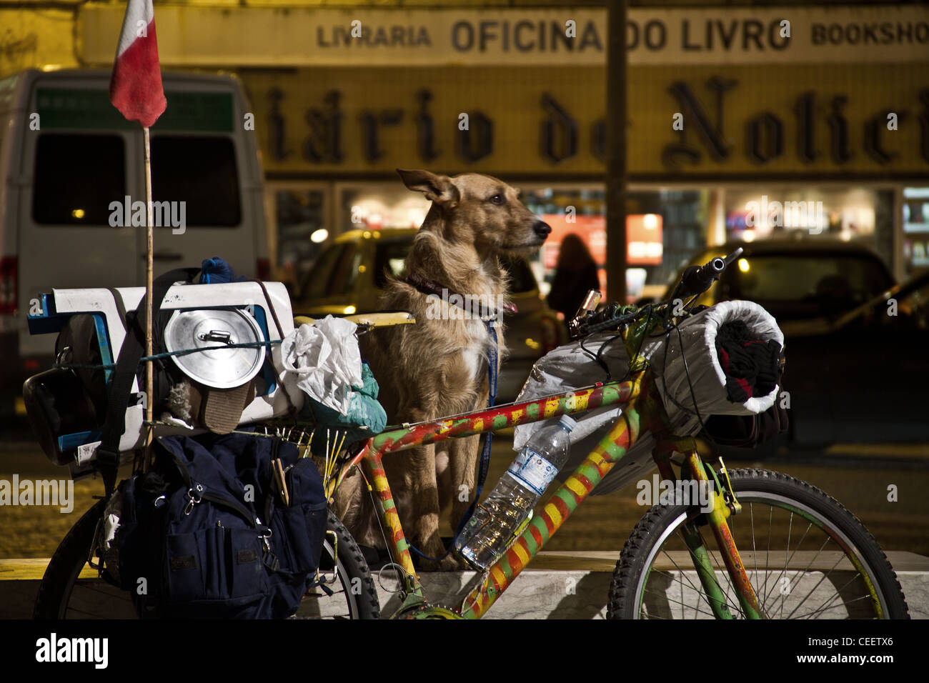 Un cane attende il suo proprietario senzatetto proteggendo al contempo il suo proprietario della bicicletta. La bicicletta è caricato con il suo padrone gli averi. Foto Stock