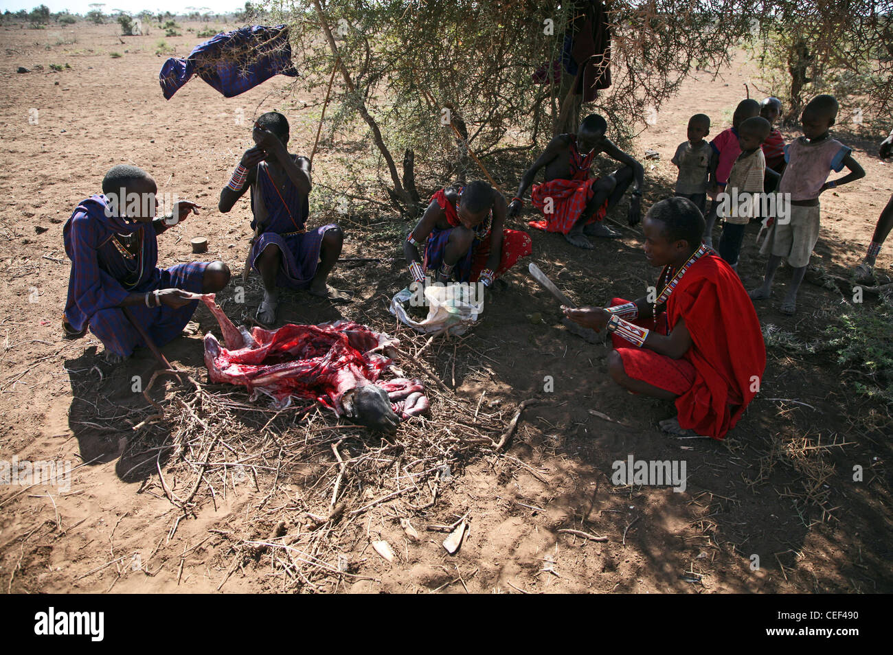 Maasai agli uomini e ai bambini con un capro macellato nei pressi del loro villaggio in Amboseli National Park, Kenya, Africa orientale. Foto Stock