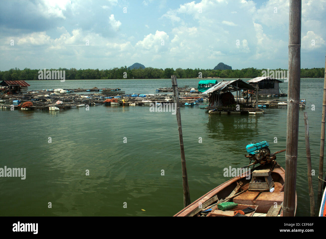 Pearl Farm Hong Island, nel sud della Thailandia Foto Stock