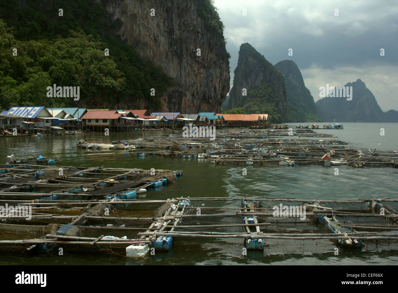Pearl Farm Hong Island, nel sud della Thailandia Foto Stock