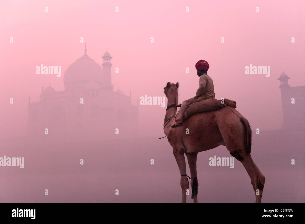 Ragazzo in sella a dorso di cammello con Taj Mahal (Patrimonio Mondiale dell'UNESCO) nella nebbia mattutina, Agra, India Foto Stock