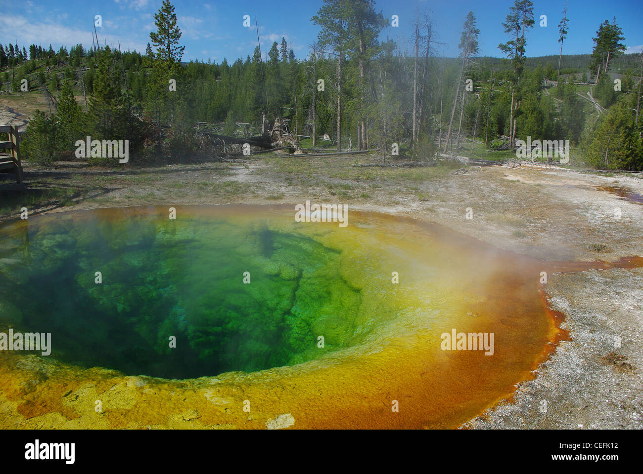 Gloria di mattina Piscina, parco nazionale di Yellowstone, Wyoming Foto Stock