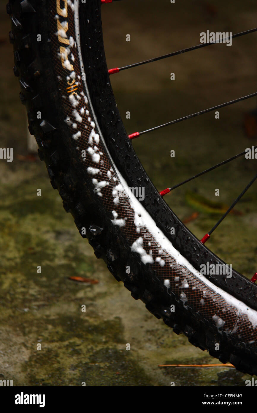 Lattice sigillante pneumatico sgonfio mountain bike il tubeless Foto stock  - Alamy