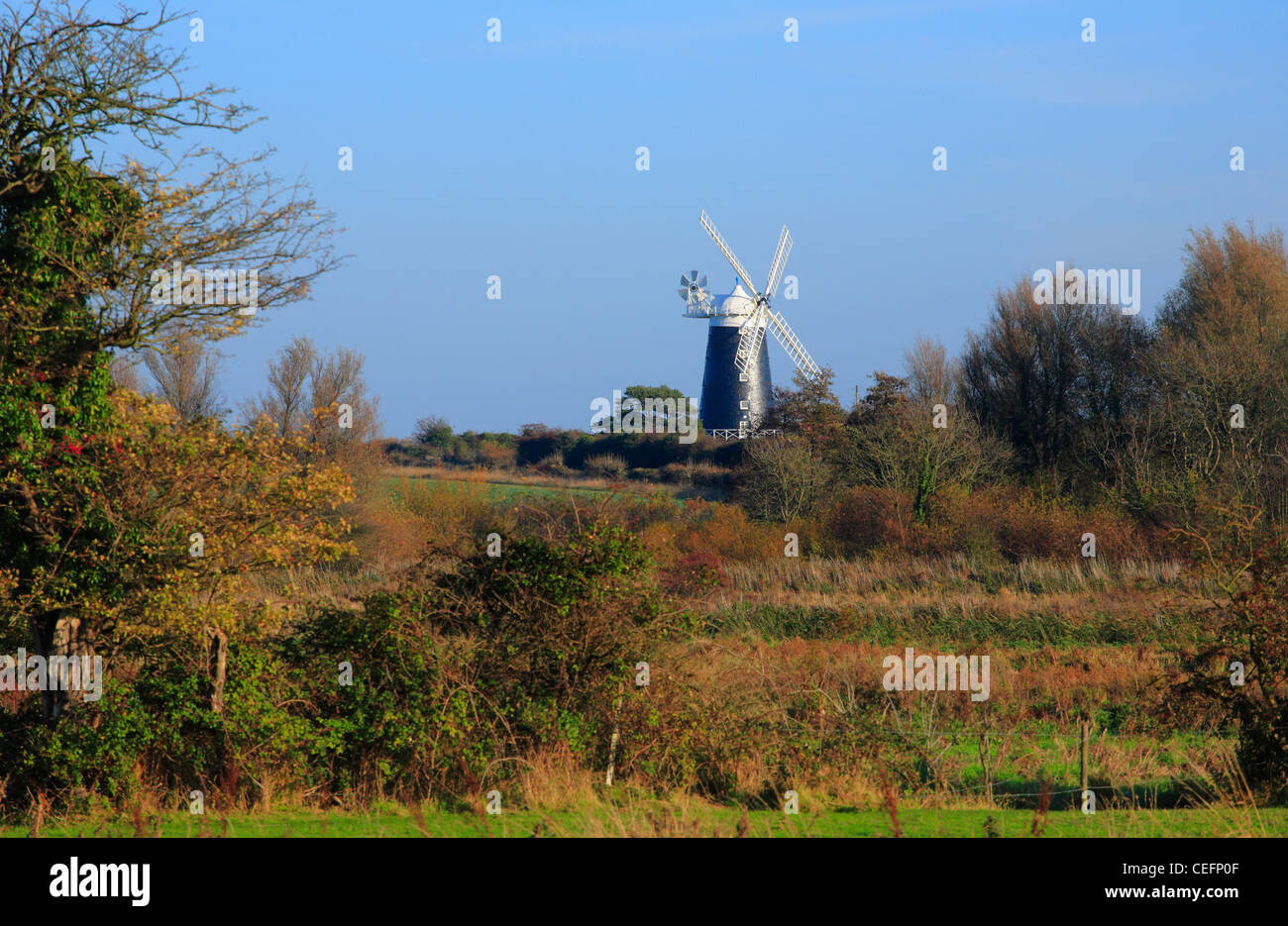 Tower Mill mulino a vento a Burnham Overy Staithe sulla costa di Norfolk attraverso la campagna di Norfolk. Foto Stock