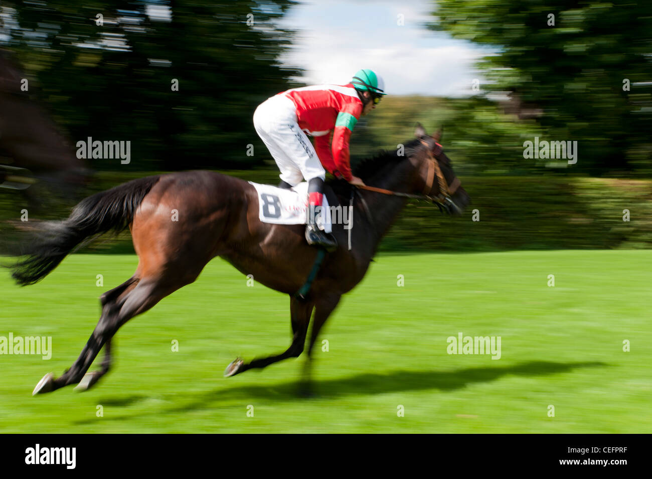 Jockey a cavallo al galoppo di cavalli da corsa Foto Stock