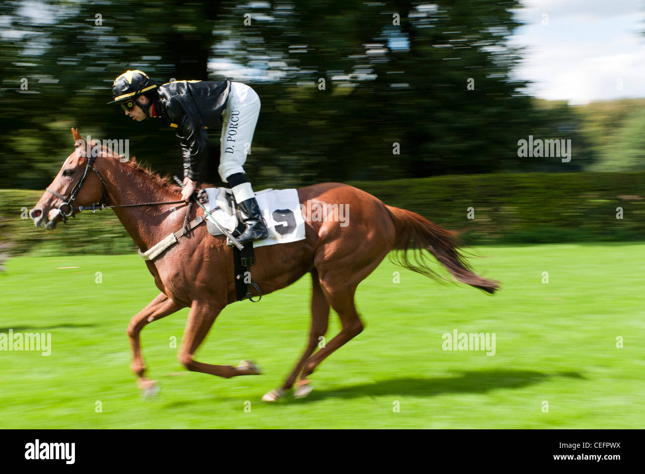 Jockey sulla corsa di cavalli al galoppo Foto Stock