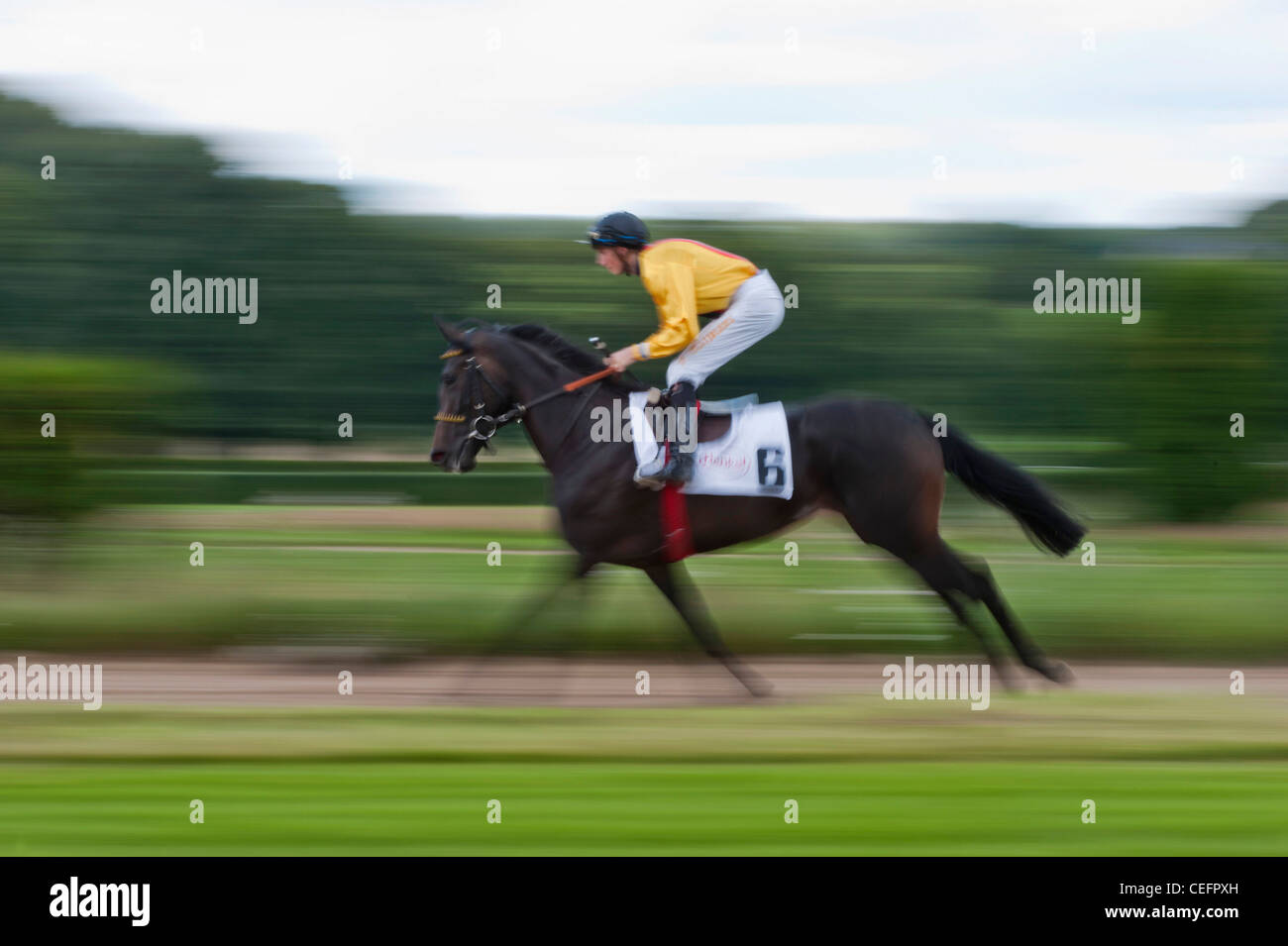 Jockey sulla corsa di cavalli al galoppo Foto Stock