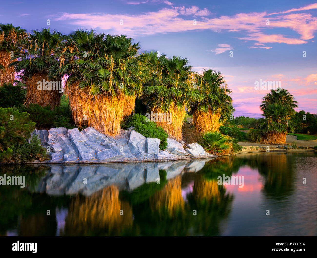Stagno e palme a sunrise Desert Willow Golf Resort. Palm Desert, California Foto Stock