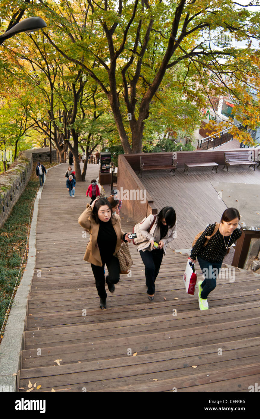 La gente camminare su e giù per le fasi che portano alla cima del Monte Namsan (o Nam Montagna) nel Parco di Namsan, Seoul Foto Stock