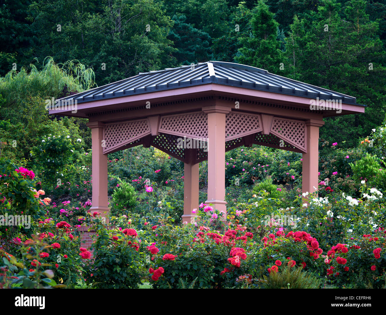 Gazebo in Portland prova Rose Garden. Orefgon Foto Stock