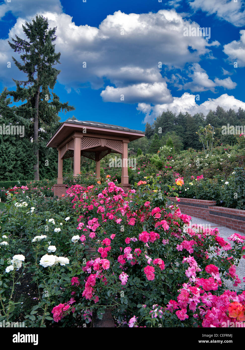 Gazebo in Portland prova Rose Garden. Orefgon Foto Stock