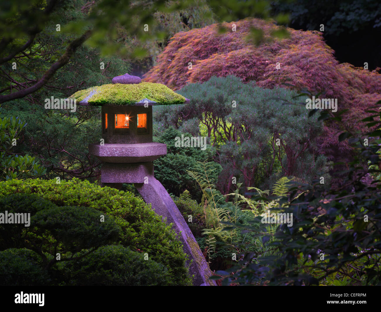 Lanterne accese in Portland Giardini Giapponesi. Oregon Foto Stock