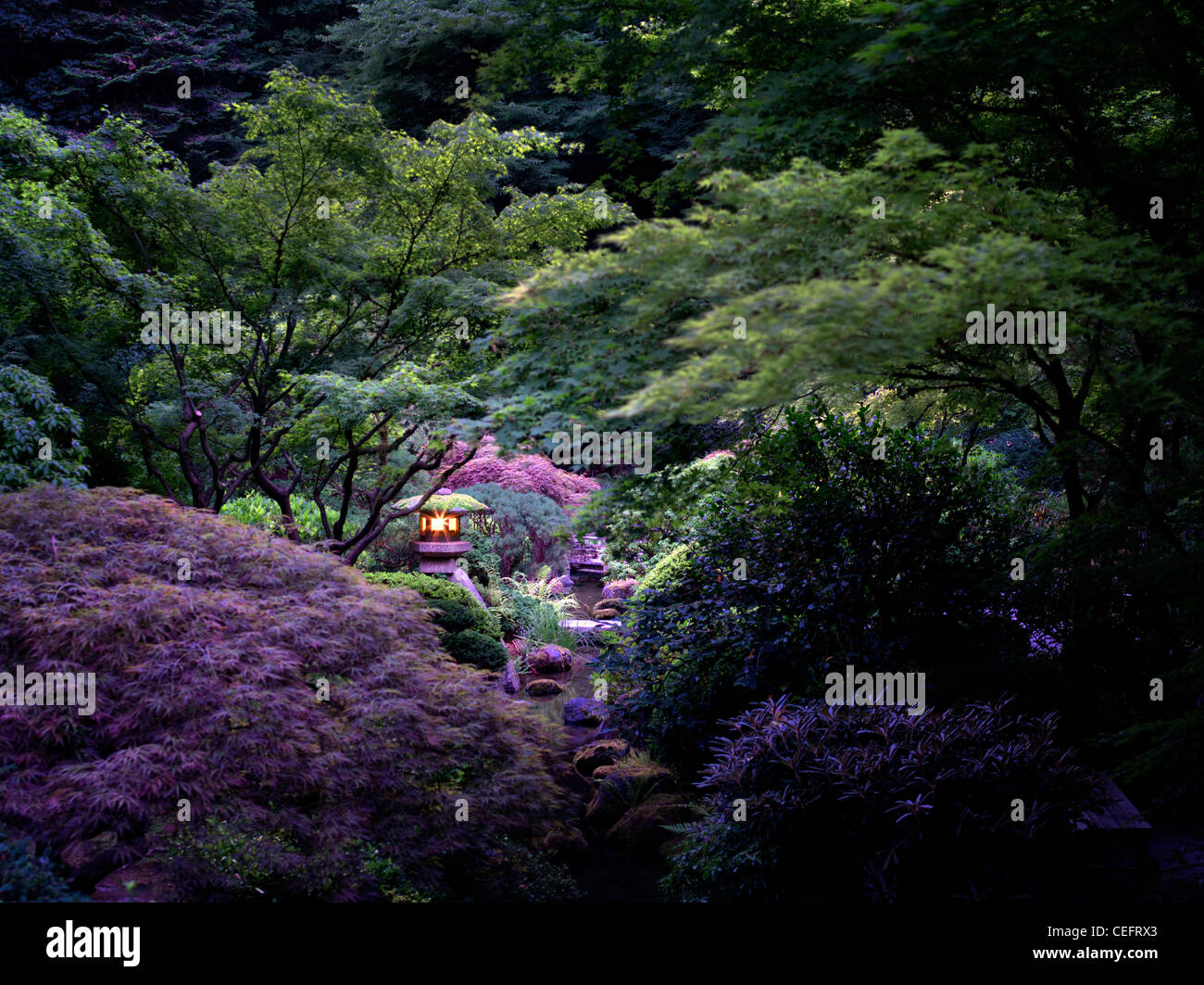 Lanterne accese in Portland Giardini Giapponesi. Oregon Foto Stock