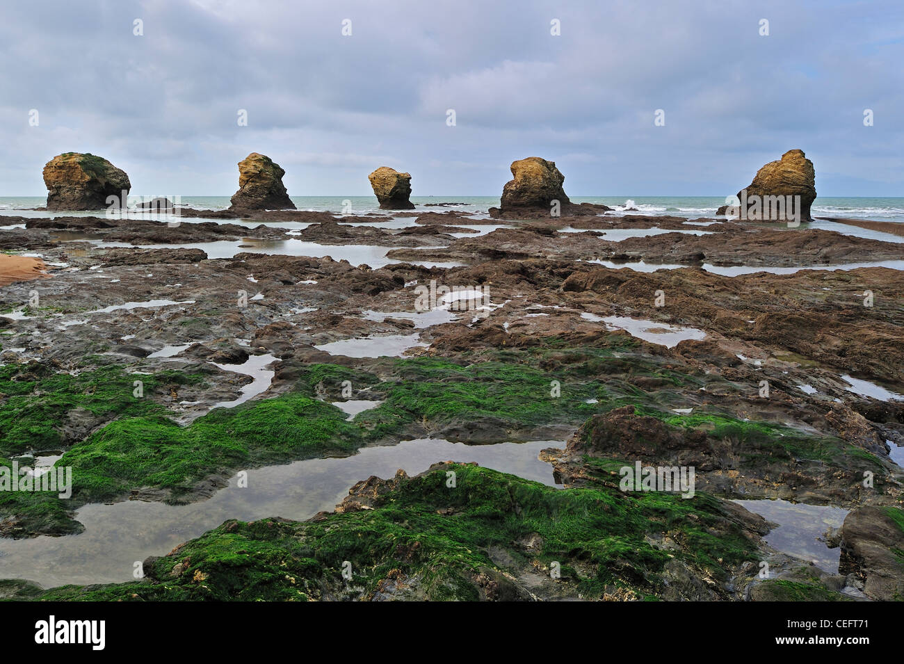 Piscine di roccia e mare pile alla Plage des cinq Pineaux a bassa marea, Saint-Hilaire-de-Riez, la Vendée, Pays de la Loire, Francia Foto Stock