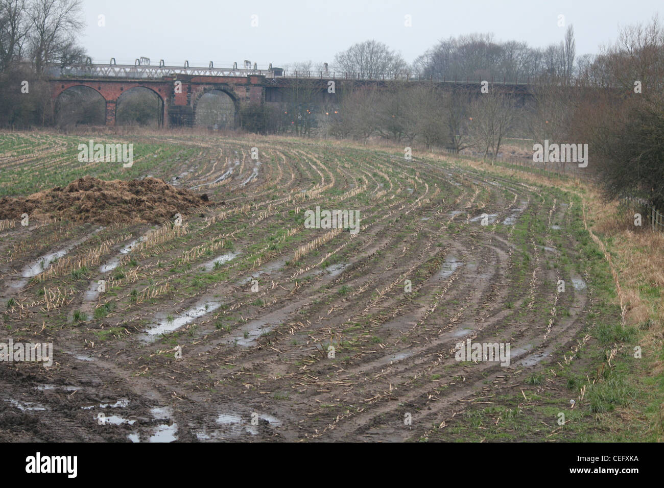 Terreni agricoli con il vecchio tram della linea di messa a terra posteriore Foto Stock