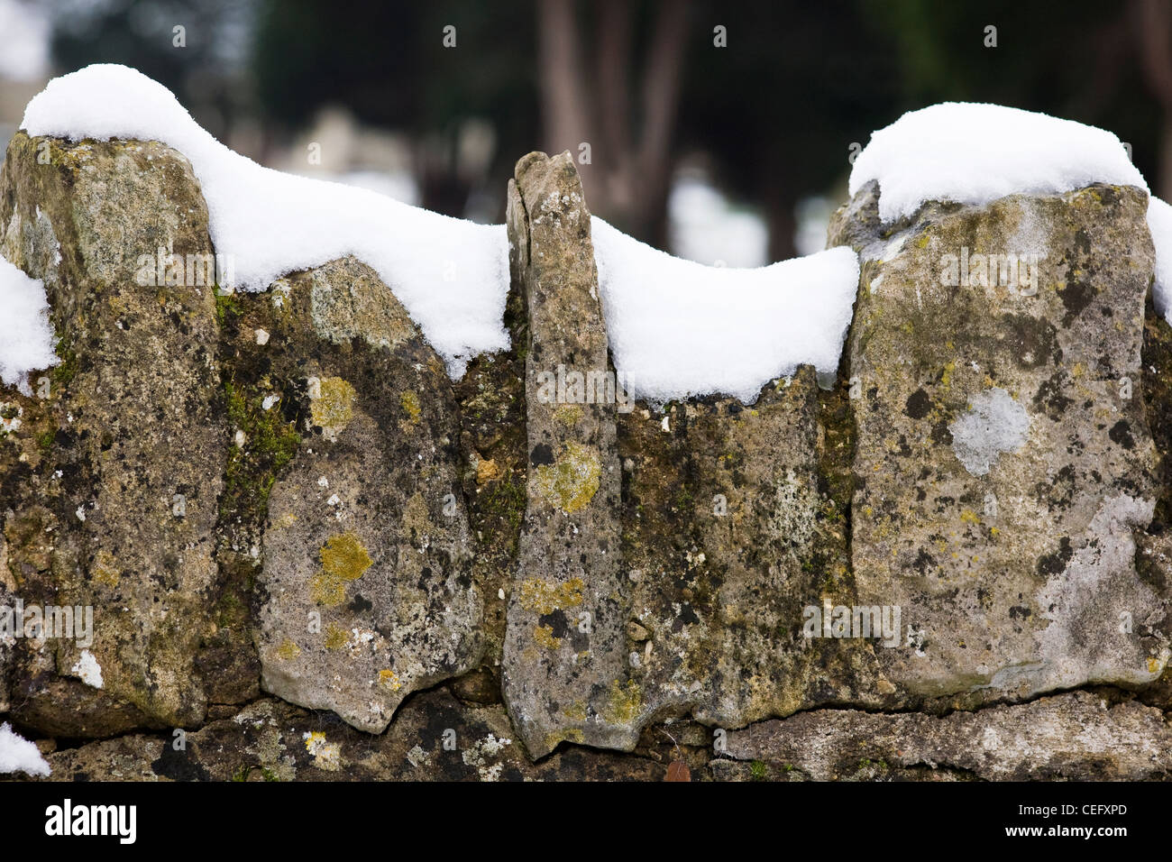 La neve sulla sommità di una stalattite parete. Foto Stock
