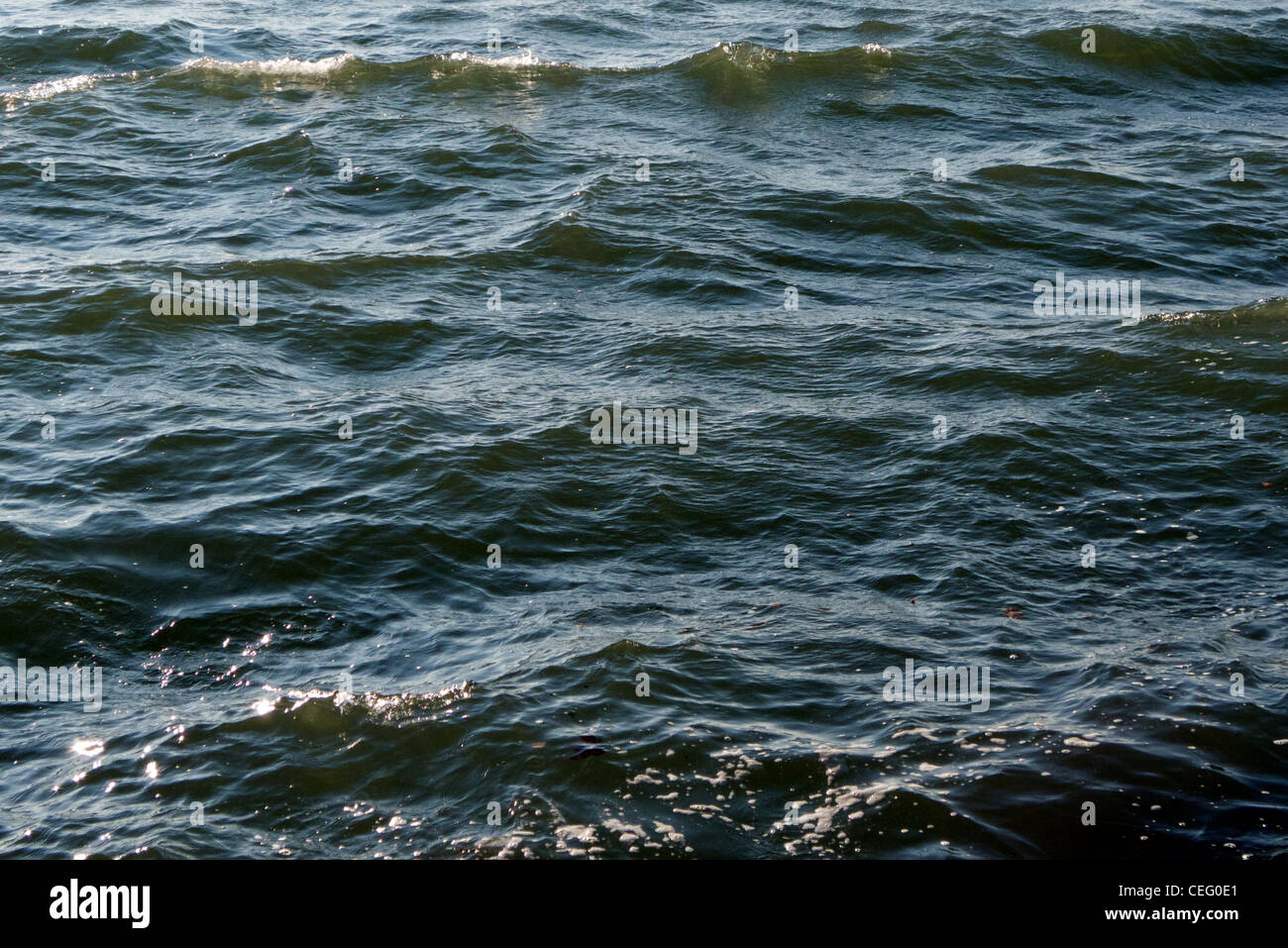 Acqua increspato in New York's baia superiore, Red Hook, Brooklyn, Stati Uniti d'America Foto Stock