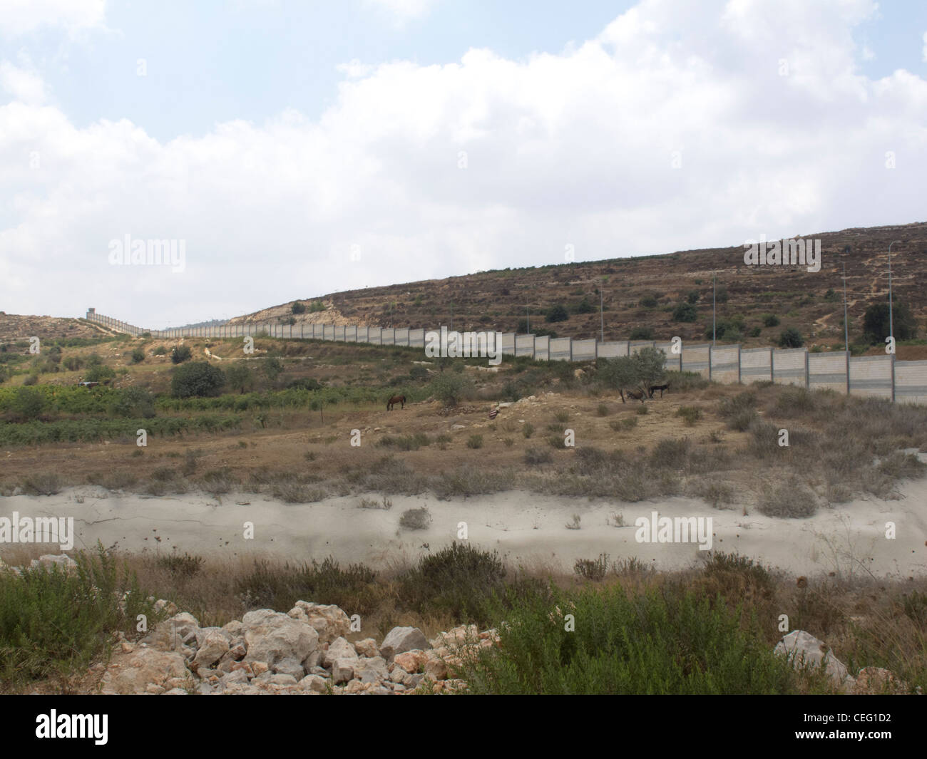 Palestina,West Bank,Bhetlehem,area di Betlemme. La parete di separazione Foto Stock