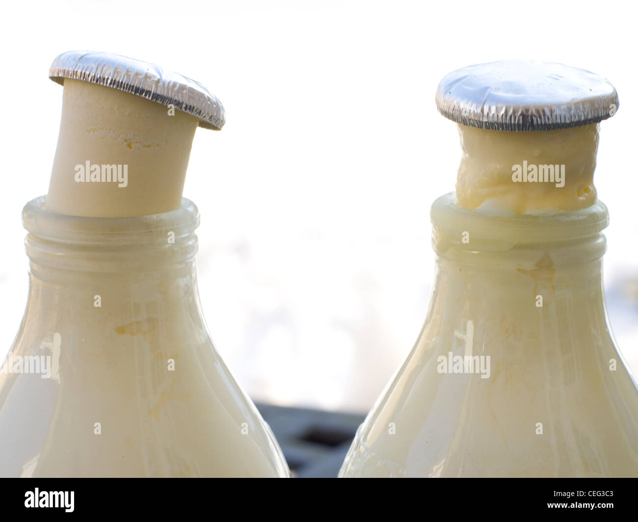 La sommità delle due bottiglie di latte in cui il latte è stato congelato in inverno. Foto Stock
