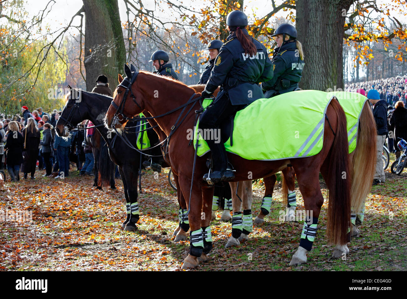 Montato polizia danese all'Hubertus Caccia - un annuale, popolare e famosa caccia nell'eremo con Royal presenze. Foto Stock