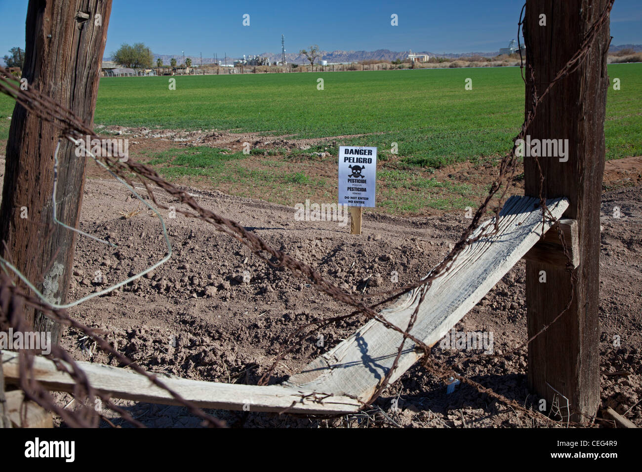 Calipatria, California - Un segno avverte che i pesticidi tossici sono stati applicati ad una fattoria campo nella Valle Imperiale. Foto Stock