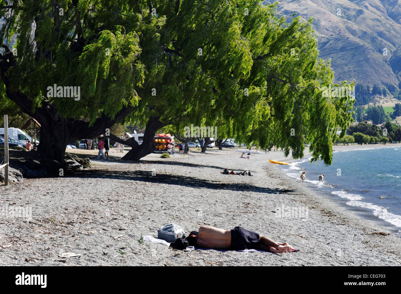 Un paio di posa sul lago Wanaka Beach, Wanaka Nuova Zelanda Foto Stock
