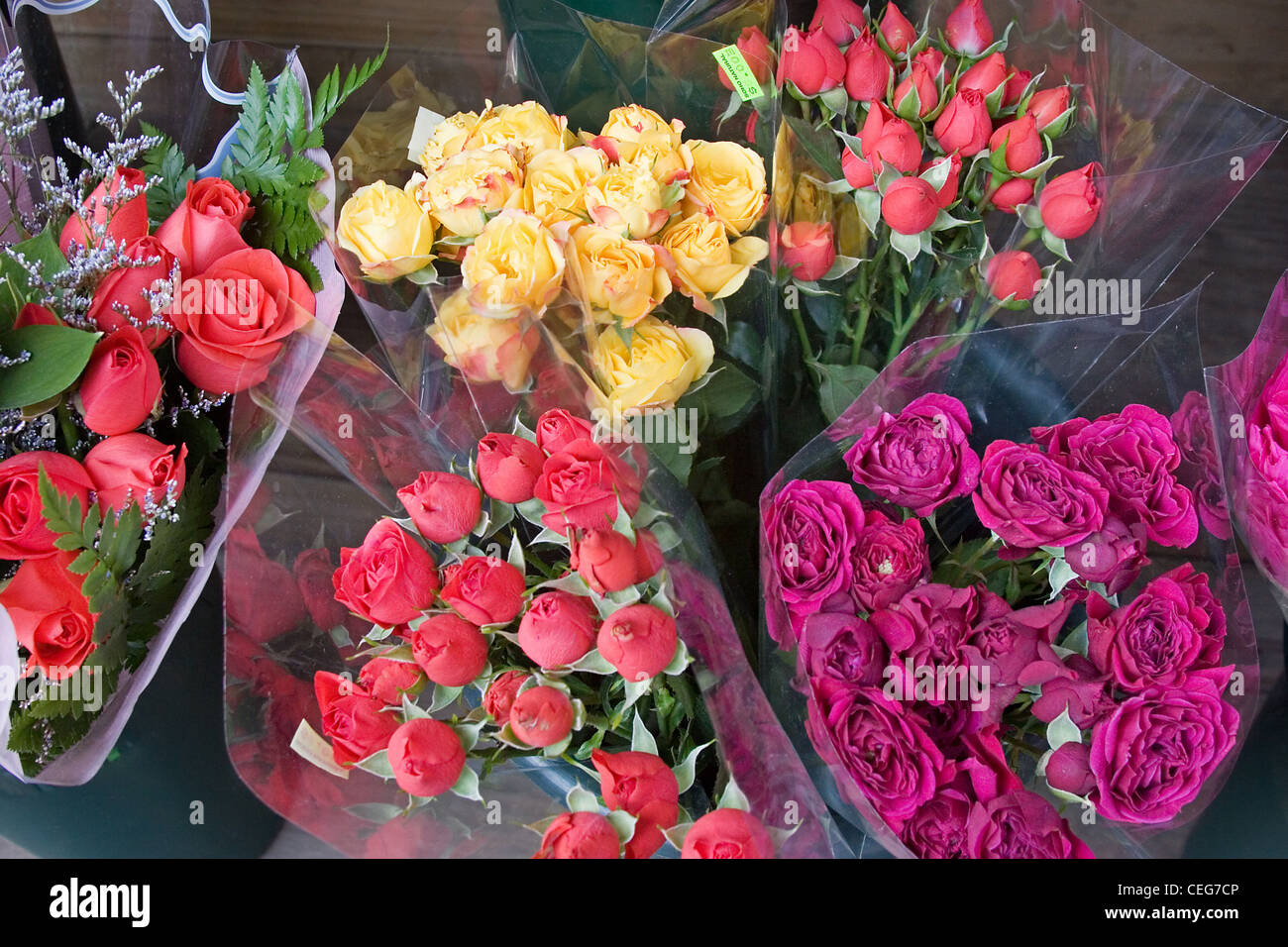 Rose in un Soho fioraio, New York City Foto Stock