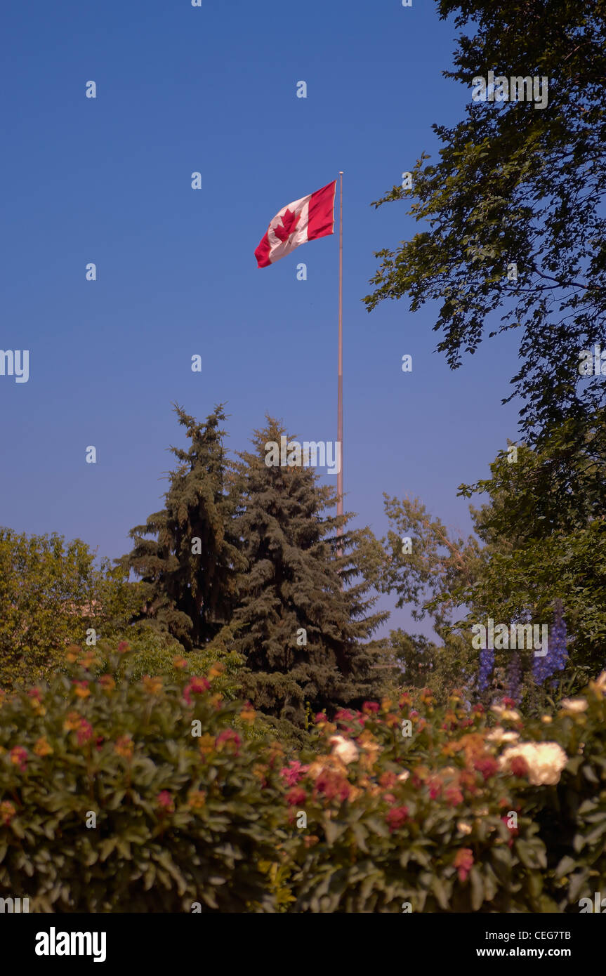 Bandiera canadese sul polo, volare su un parco Foto Stock