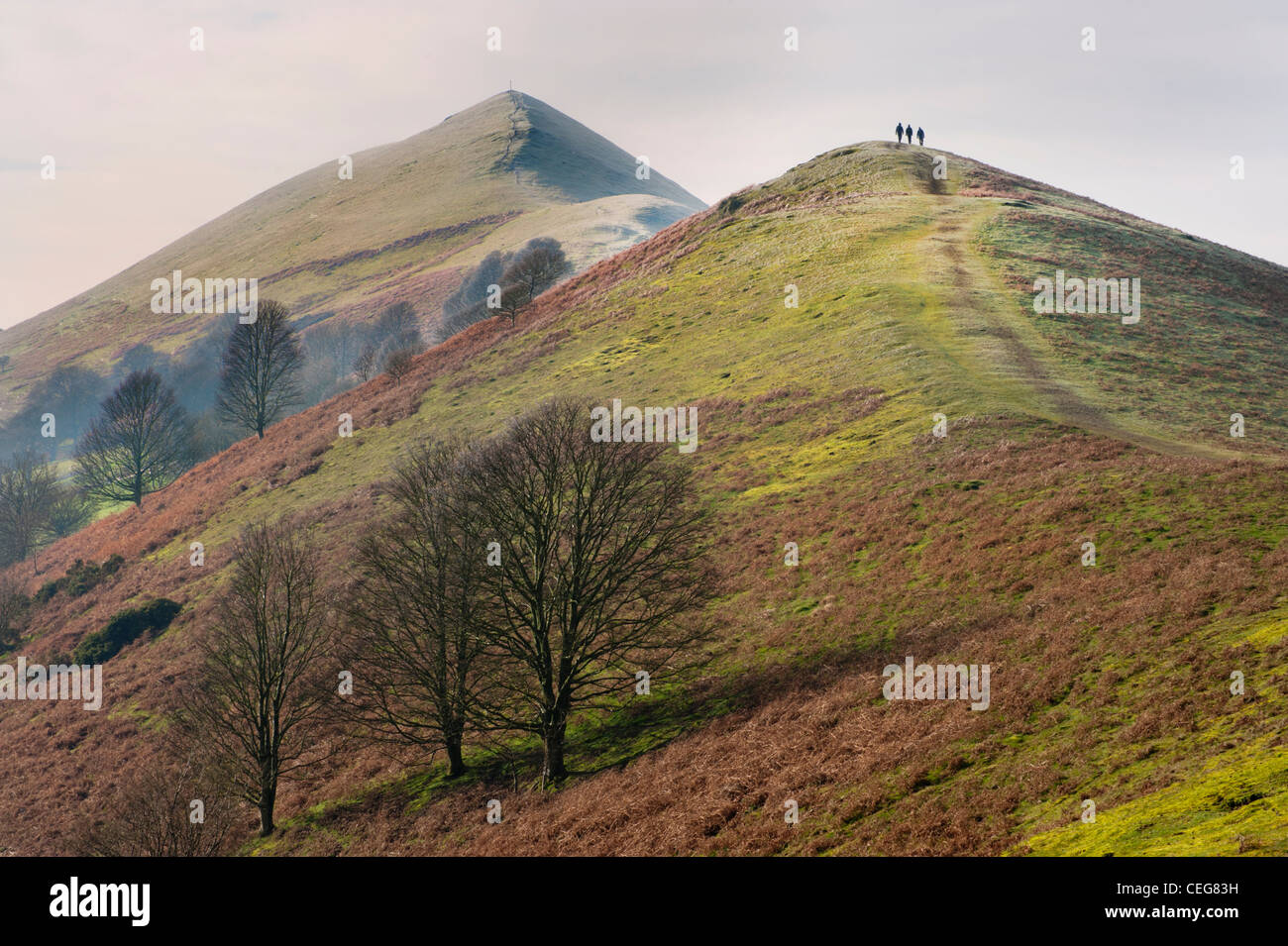 Il Lawley collina vicino Church Stretton nello Shropshire, in inverno, con scuotipaglia Foto Stock