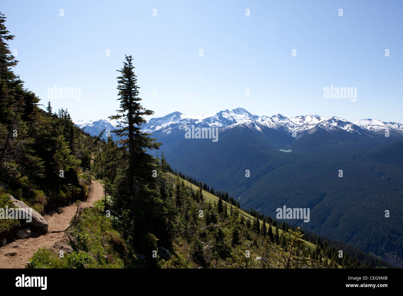 Una vista di un sentiero escursionistico è visibile durante l'estate offseason su Whistler Mountain in British Columbia, Canada Foto Stock