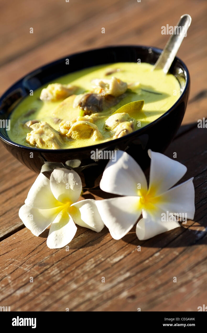 Tom Kha Gai - tailandese tradizionale zuppa di pollo e latte di cocco. Molto leggera profondità di campo a. Foto Stock