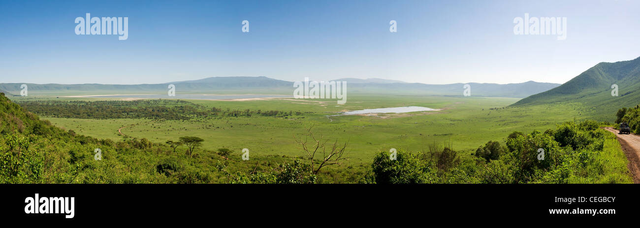 Cratere di Ngorongoro vista panoramica nella caldera - veicolo in marcia fino alla salita su strada, Regione di Arusha, Tanzania Foto Stock