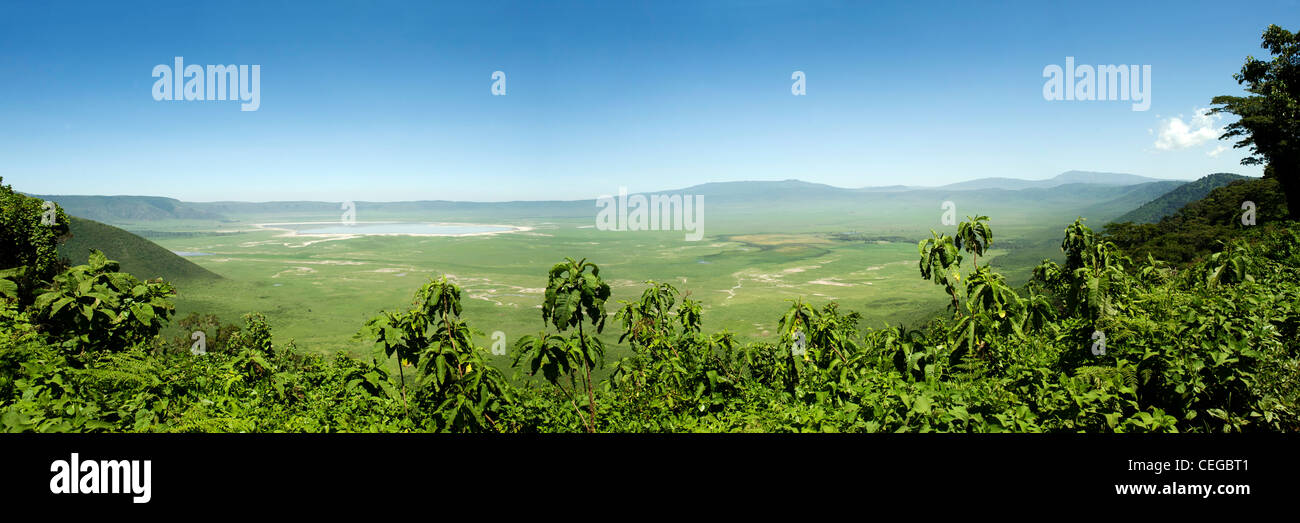 Il cratere di Ngorongoro, Vista panoramica dal bordo del cratere, Regione di Arusha, Tanzania Foto Stock