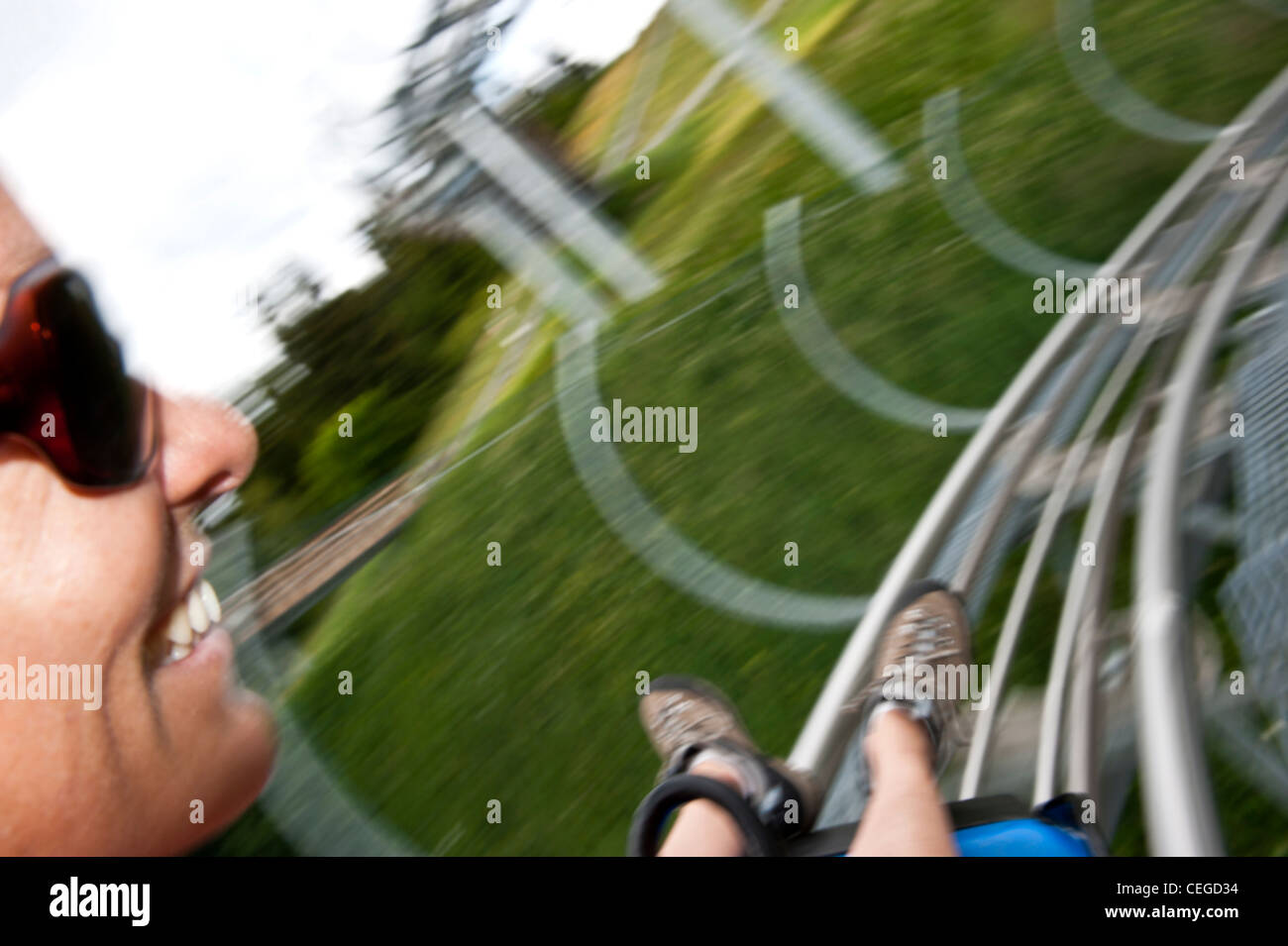 Alpine-coaster slittino estivo. Les Saisies family village resort. Savoie. Francia Foto Stock